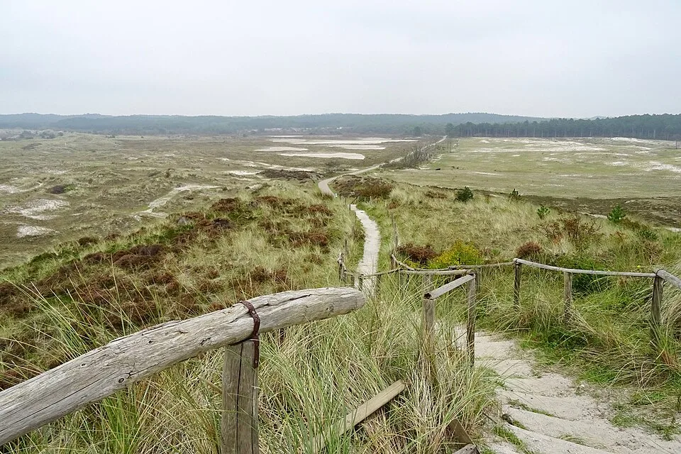 Dünenlandschaft bei Schoorl und Bergen