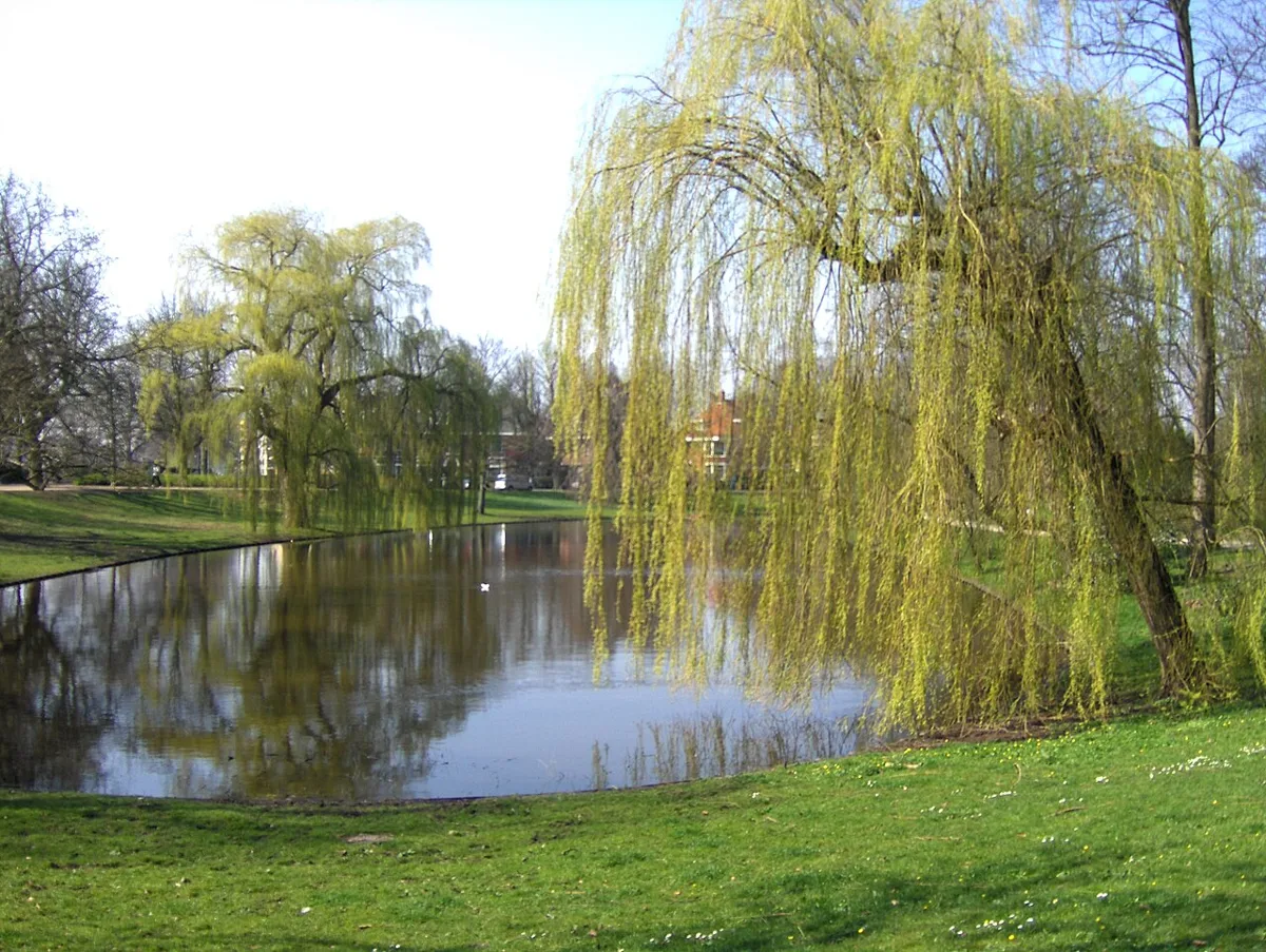 Noorderplantsoen in Groningen