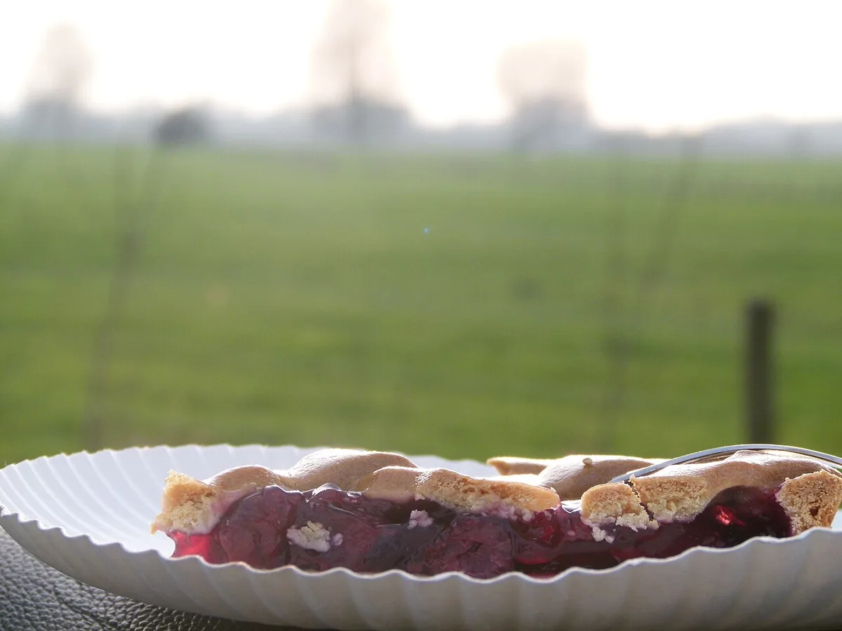Limburgischer Vlaai mit Obstfüllung