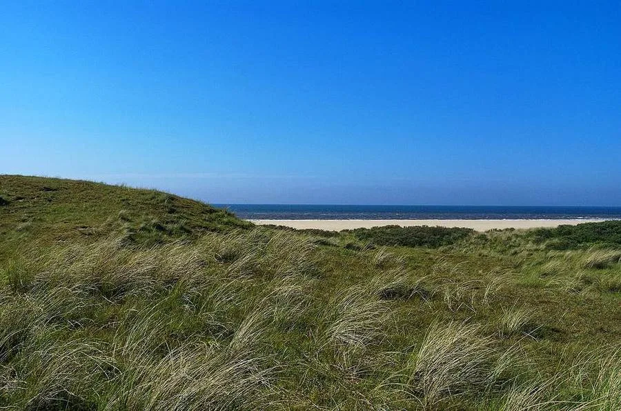 Dünen am Leuchtturm Eierland auf Texel