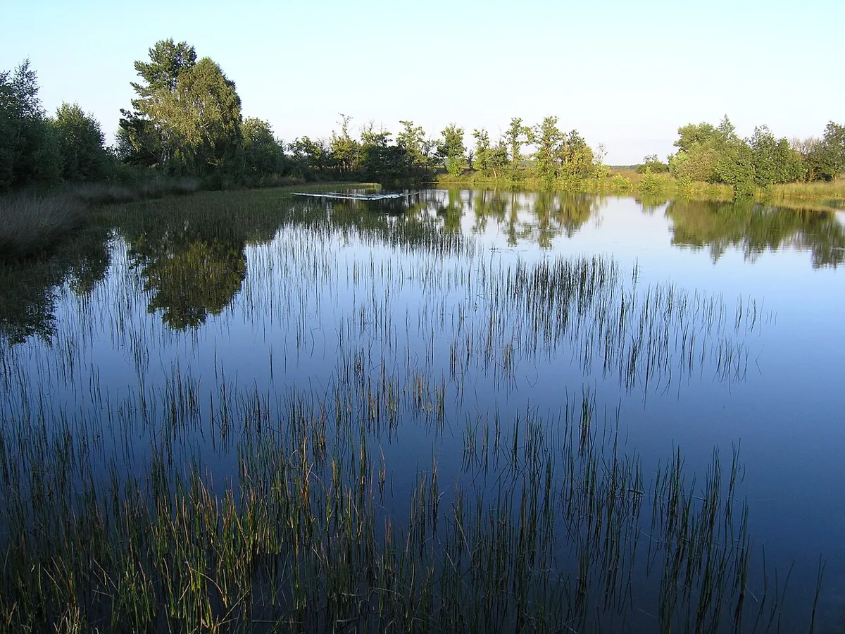 Der See Deelense Was im Nationalpark De Hoge Veluwe