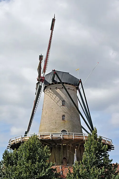 Die Windmühle De Brak in Sluis