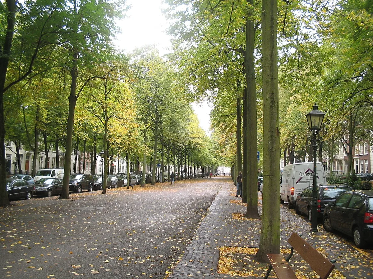 Die Allee Lange Voorhout in Den Haag